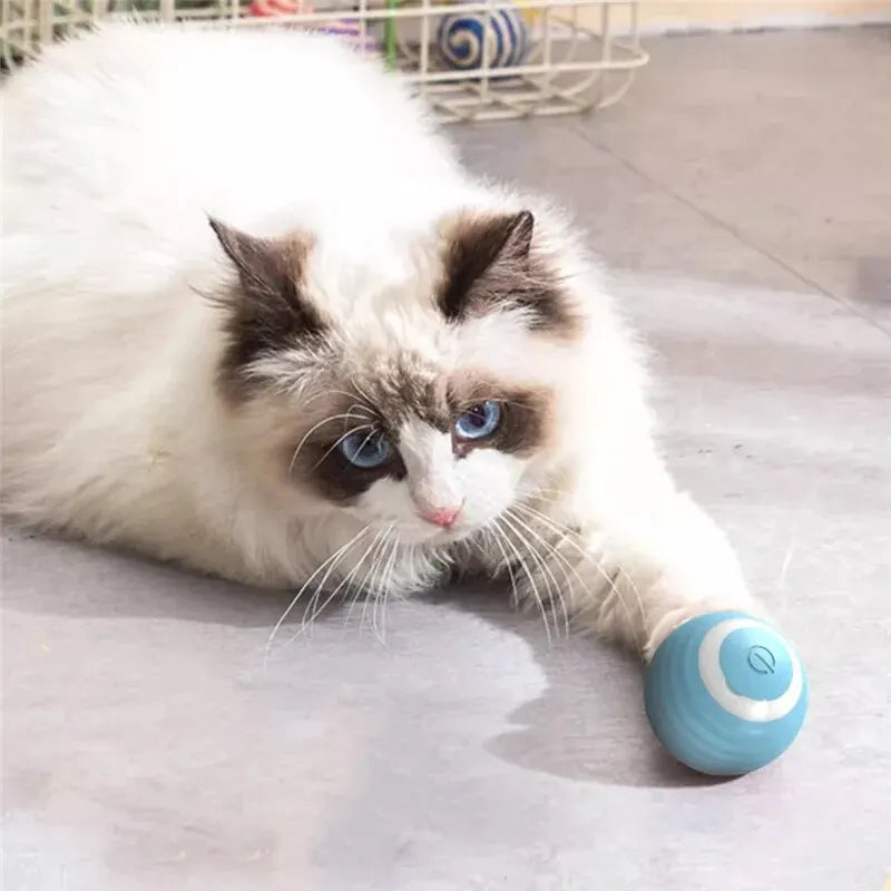 Interactive Electric Cat Ball Toy – Self-Moving Automatic Rolling Magic Ball for Kitten Training