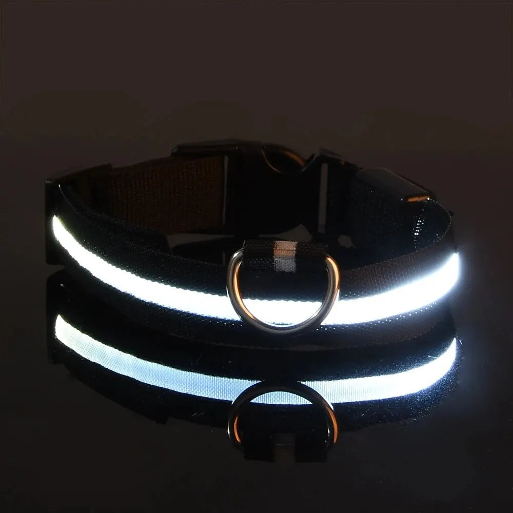 LED Glow-in-the-Dark Dog Leash & Collar – Nylon Safety Set