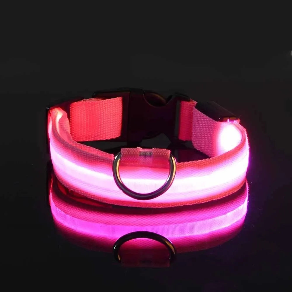 LED Glow-in-the-Dark Dog Leash & Collar – Nylon Safety Set