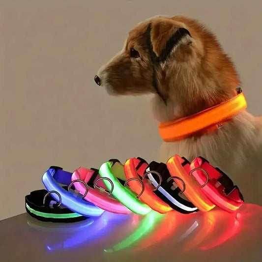 LED Glow-in-the-Dark Dog Leash & Collar – Nylon Safety Set