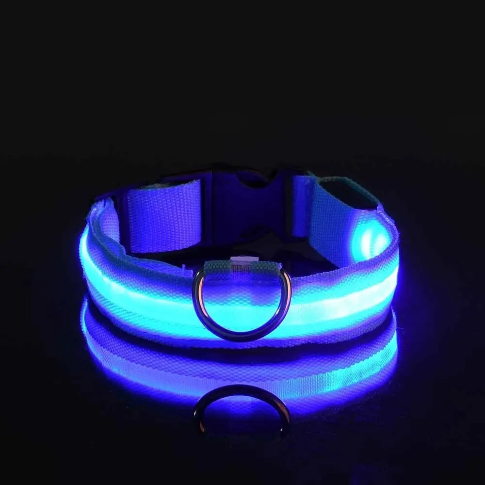 LED Glow-in-the-Dark Dog Leash & Collar – Nylon Safety Set