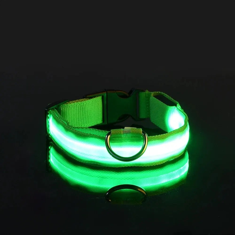 LED Glow-in-the-Dark Dog Leash & Collar – Nylon Safety Set