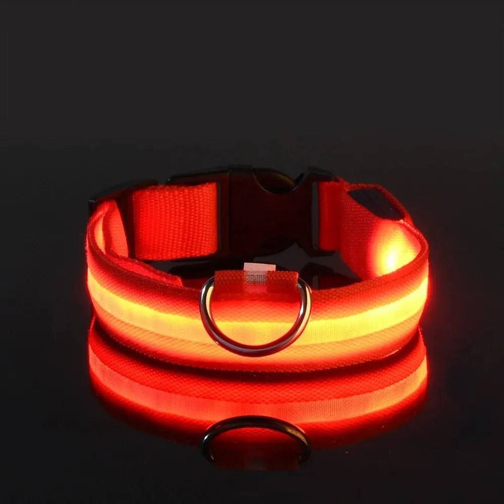 LED Glow-in-the-Dark Dog Leash & Collar – Nylon Safety Set