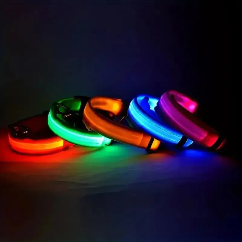 LED Glow-in-the-Dark Dog Leash & Collar – Nylon Safety Set